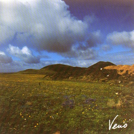 Volcanic landscape in flowers